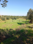 -33063211_wm-34089ac2c9-4dcaa63987.webp