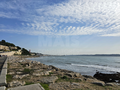 -33063351_wm-f5c74df923-4dcaa63987.webp