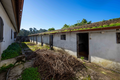 -33063354_wm-1a0a2514a0-4dcaa63987.webp