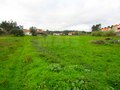 -33063358_wm-bf719fcfa9-4dcaa63987.webp
