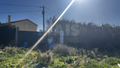 -33063399_wm-17b260afc9-4dcaa63987.webp