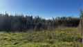 -33063399_wm-1942842ffa-4dcaa63987.webp