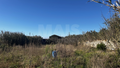 -33063399_wm-a2cb8665ff-4dcaa63987.webp