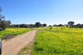 -33063439_wm-413c0f4f7c-4dcaa63987.webp