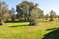 -33063439_wm-5dbec3c55e-4dcaa63987.webp