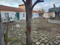 -33063547_wm-9f05b714fb-4dcaa63987.webp