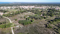 -33063567_wm-40d599c56d-4dcaa63987.webp