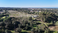 -33063567_wm-6cb3619c52-4dcaa63987.webp