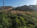 -33063612_wm-0f5e56384d-4dcaa63987.webp