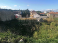 -33063612_wm-25f0db98d3-4dcaa63987.webp