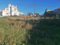 -33063612_wm-6ce1a09c26-4dcaa63987.webp