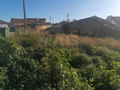 -33063612_wm-978ecd1566-4dcaa63987.webp