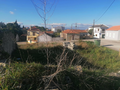 -33063612_wm-c5a31bdd23-4dcaa63987.webp