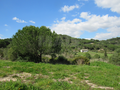 -33063630_wm-7e54cdcc51-4dcaa63987.webp