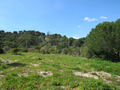 -33063630_wm-80cdf6b966-4dcaa63987.webp