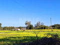 -33063716_wm-d02b2bd5eb-4dcaa63987.webp