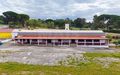 -33063747_wm-bfc2af027d-4dcaa63987.webp