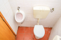 -33064074_wm-8107c85ad4-4dcaa63987.webp