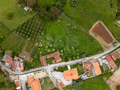 -33064091_wm-ea9ac39f75-4dcaa63987.webp