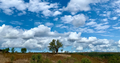 -33064245_1920x1003_2111.webp