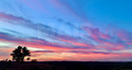 -33064245_1920x1030_137.webp