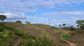 -33064245_wm-14d70dedcb-4dcaa63987.webp