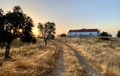-33064245_wm-58d4f34849-4dcaa63987.webp