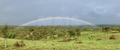 -33064245_wm-a3cd4e5f10-4dcaa63987.webp