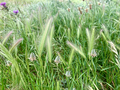 -33064245_wm-b039885a02-4dcaa63987.webp