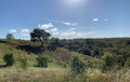 -33064245_wm-b94036f407-4dcaa63987.webp