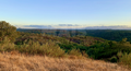 -33064245_wm-e666b75c37-4dcaa63987.webp