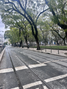 -33064288_wm-3a2201c75e-4dcaa63987.webp