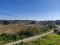 -33064428_wm-beb250624e-4dcaa63987.webp