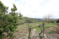 -33064442_wm-1ca216a343-4dcaa63987.webp