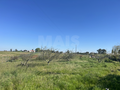 -33064443_wm-efea63b623-4dcaa63987.webp