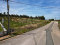 -33064461_wm-04b982e779-4dcaa63987.webp