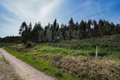 -33064461_wm-8e5a411392-4dcaa63987.webp