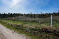 -33064461_wm-aeaf1aefd7-4dcaa63987.webp
