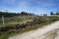 -33064461_wm-f9314579b4-4dcaa63987.webp