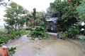 -33064479_wm-082cf9e855-4dcaa63987.webp