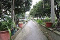 -33064479_wm-48ca6b8489-4dcaa63987.webp