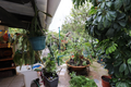 -33064479_wm-6ae1335427-4dcaa63987.webp