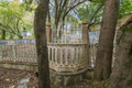 -33064497_wm-b26f0cc9fd-4dcaa63987.webp