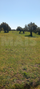 -33064502_wm-04bc169d95-4dcaa63987.webp