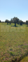 -33064502_wm-38f7f8a129-4dcaa63987.webp