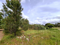 -33064523_wm-02058eb988-4dcaa63987.webp