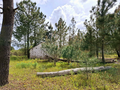 -33064523_wm-2b6ad4ca90-4dcaa63987.webp