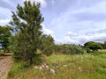 -33064523_wm-3bab8160dd-4dcaa63987.webp