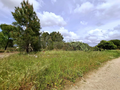 -33064523_wm-9bc2775ee9-4dcaa63987.webp
