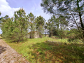-33064523_wm-9bca001cc9-4dcaa63987.webp